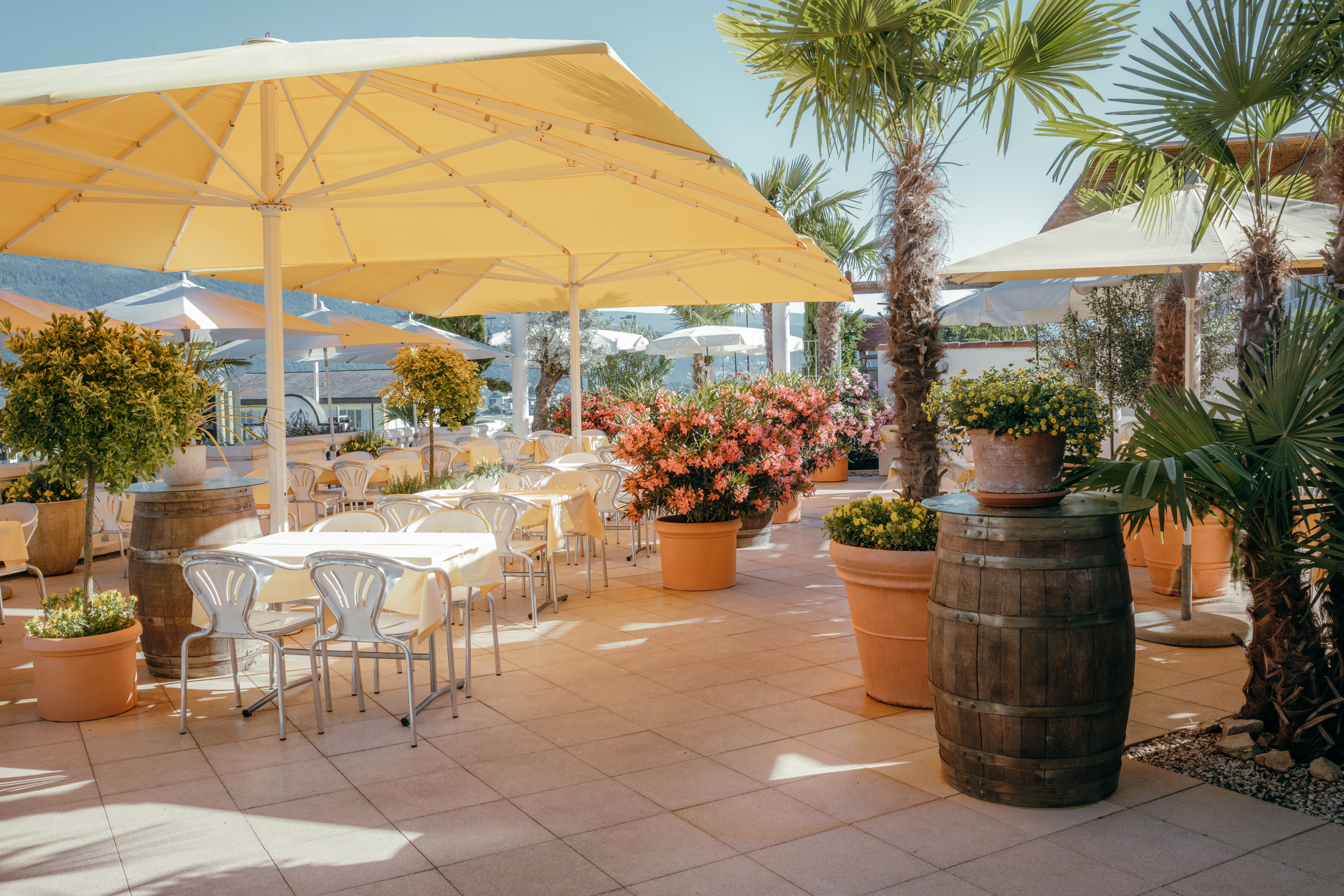 Empfehlungen Frühling bis 23. April